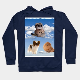 cat and dogs on the sky Hoodie